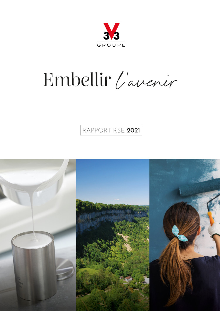 rapport rse